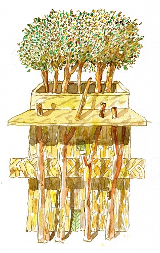 Il giardino delle delizie