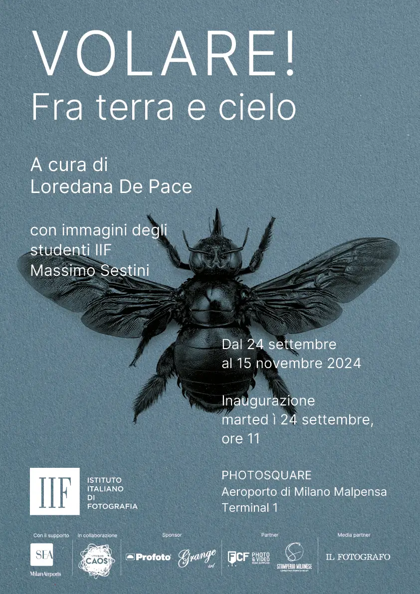 VOLARE Poster