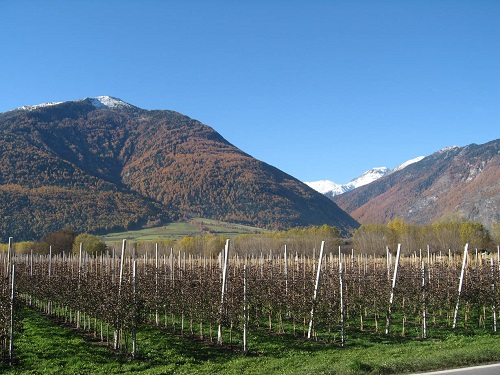 L’Europa chiede all’Italia un futuro più verde per la nostra agricoltura