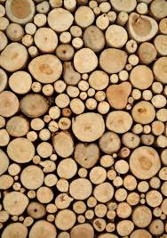 “Legna gastronomica”: le migliori tipologie di legno da usare per cottura e affumicatura dei cibi