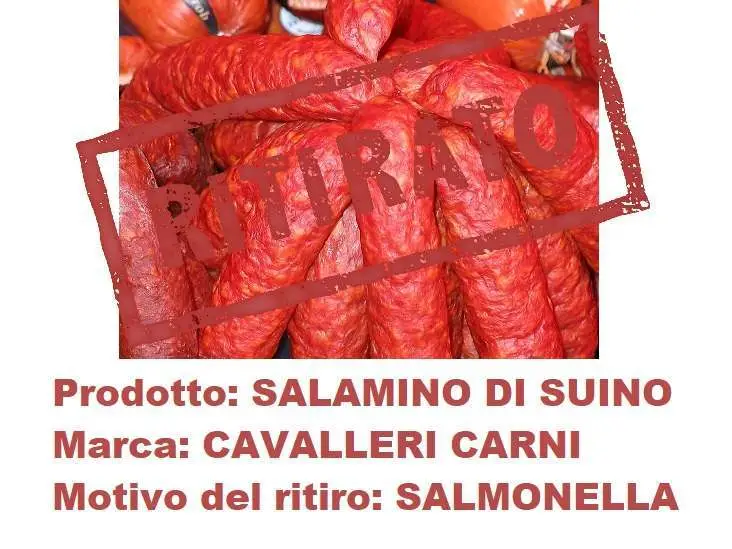 salamino