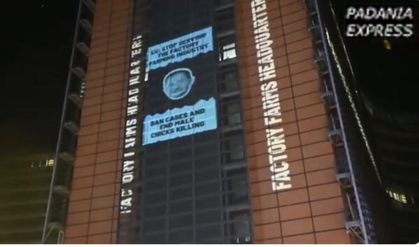 Commissione UE “quartier generale degli allevamenti intensivi”: proiezione di Animal Equality