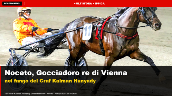 Gocciadoro re di Vienna nel fango del Graf Kalman Hunyady